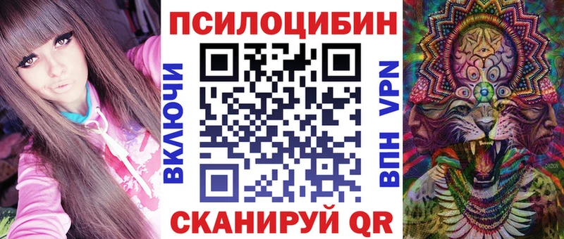 hydra ссылки  Козловка  Псилоцибиновые грибы ЛСД 